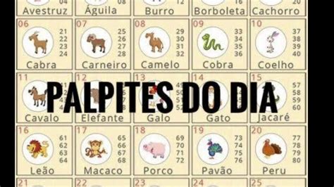 palpite jogo do bicho do dia - palpite jogo do bicho kaledri